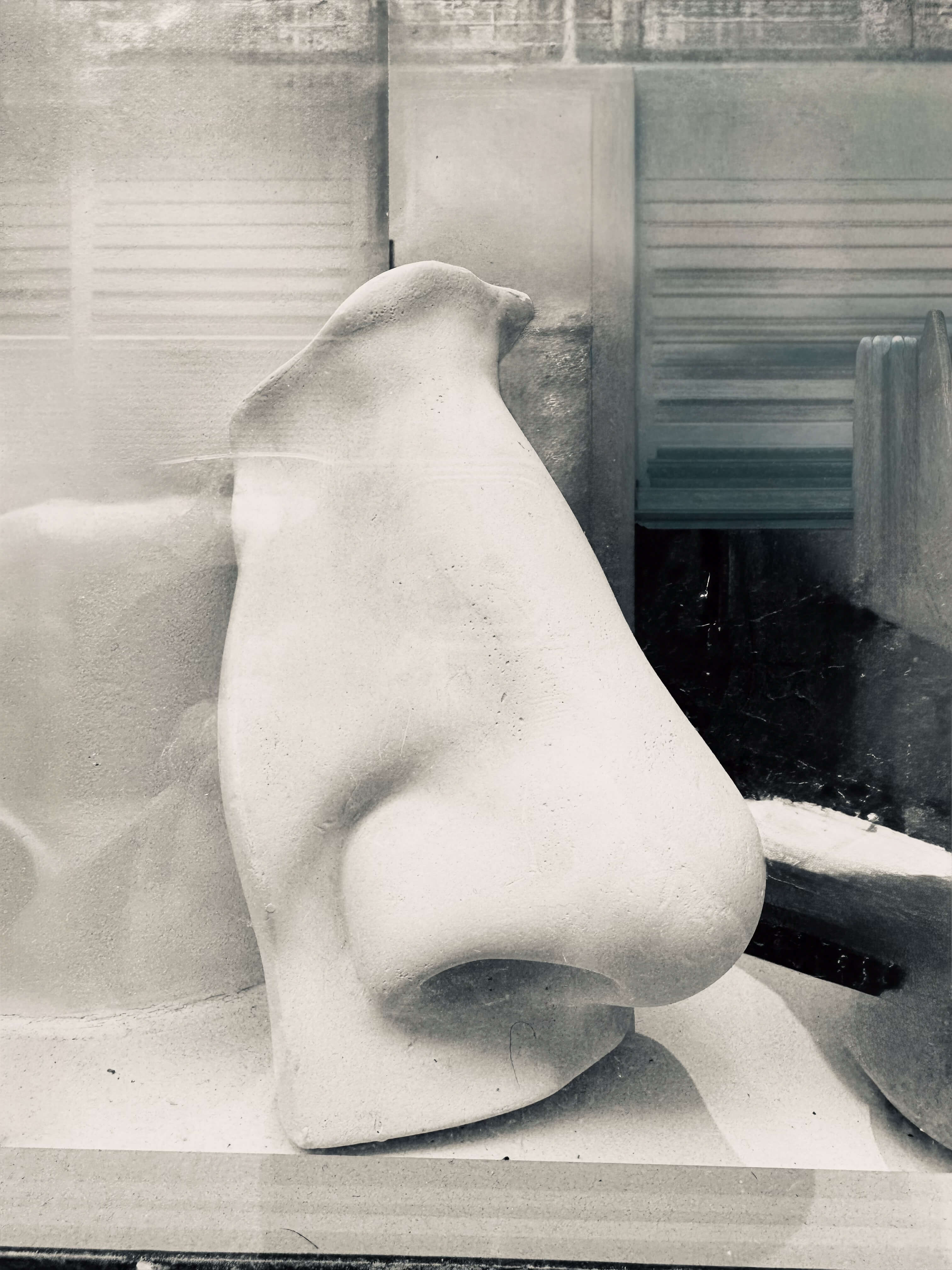 le nez, une histoire d'odeurs et de parfums