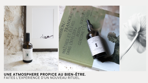 pour une atmosphère propice au bien-être les parfums d'intérieur Domaine Singulier ici dans un univers raffiné et singulier