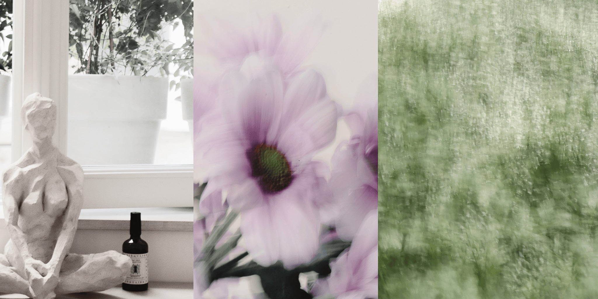 domaine singulier, les parfums d'intérieur naturellement beaux dans l'air, pour sublimer les lieux et le moment