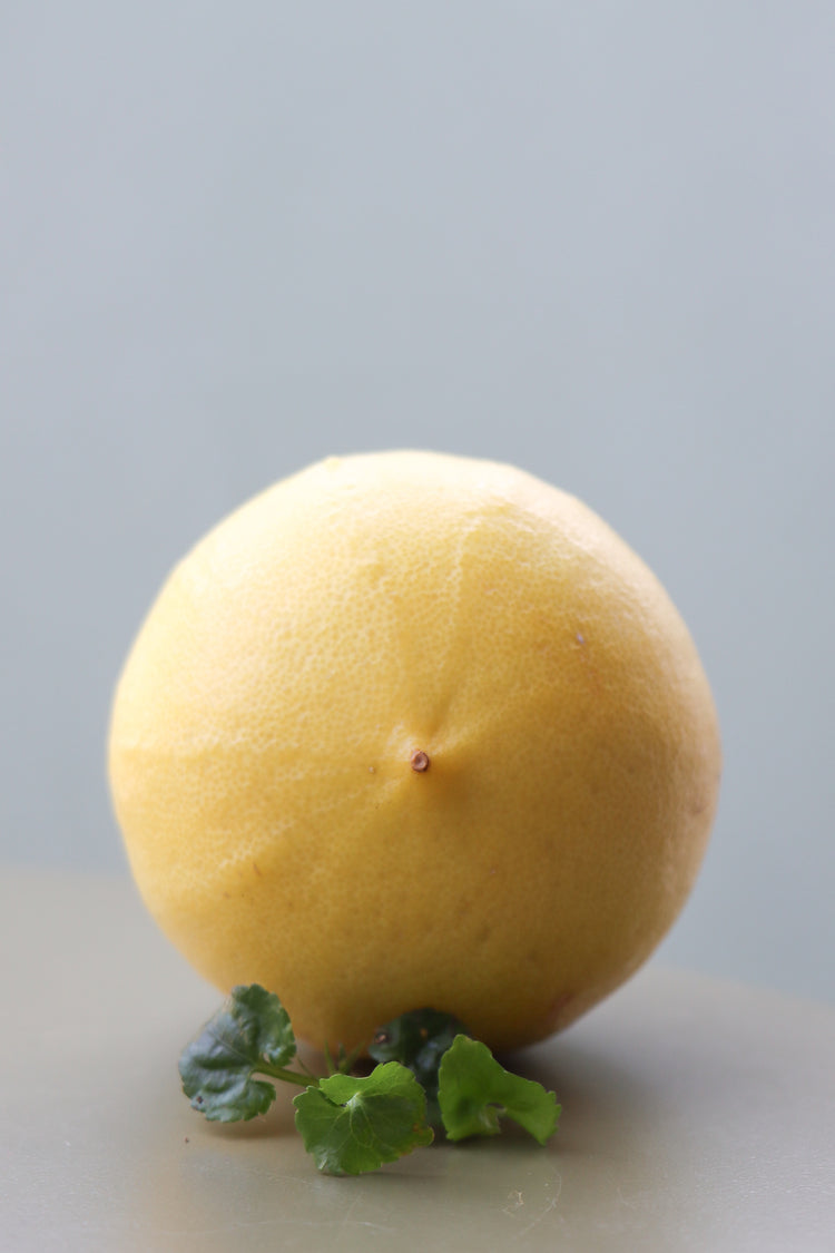 Photographie d'une bergamote et de feuilles de violettes qui diffusent naturellement des notes solaires, pétillantes, héspéridées et boisées