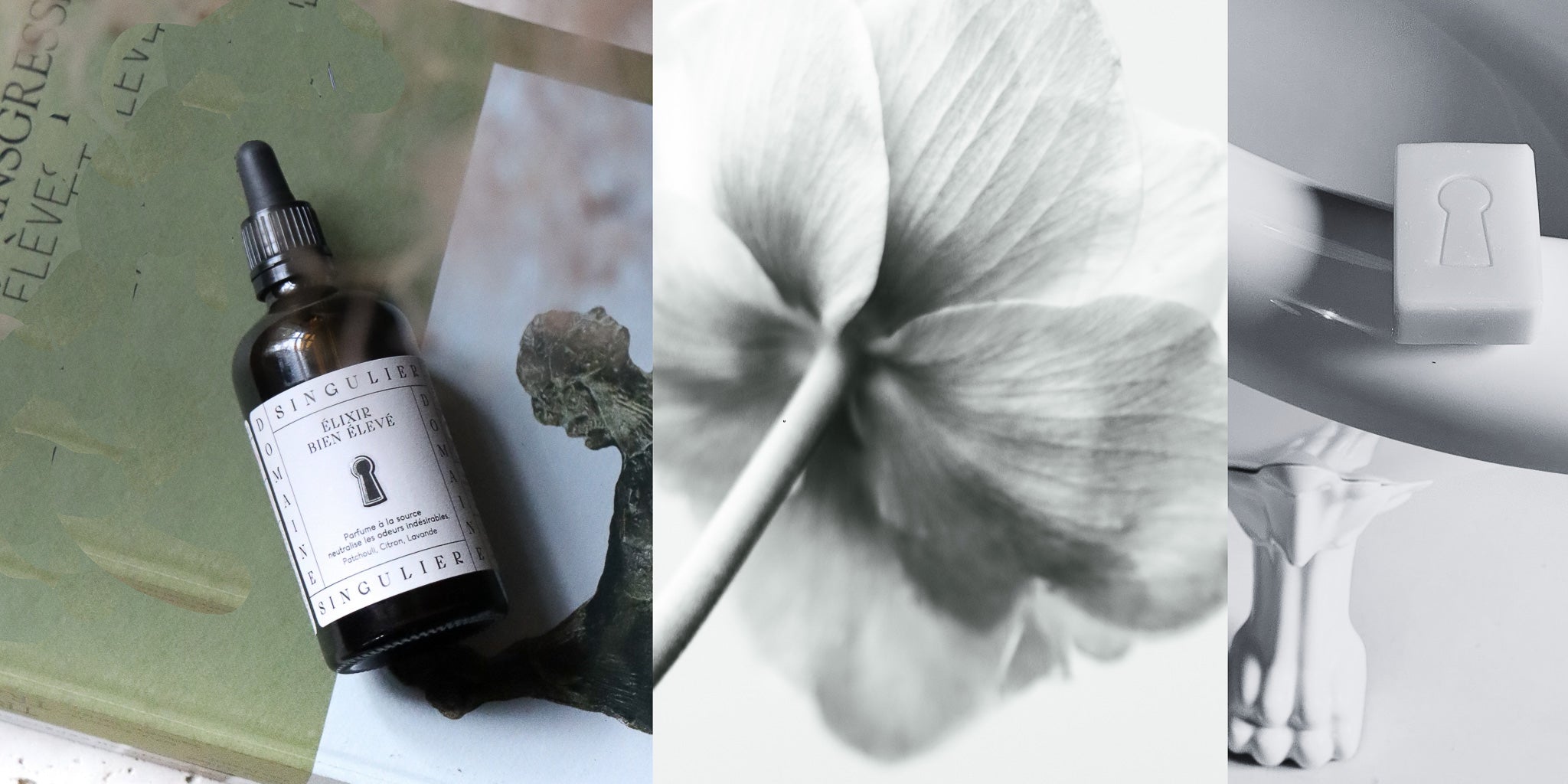 les parfums d'intérieur domaine singulier beaux efficaces et naturels, pour sublimer les lieux de la maison et le moment
