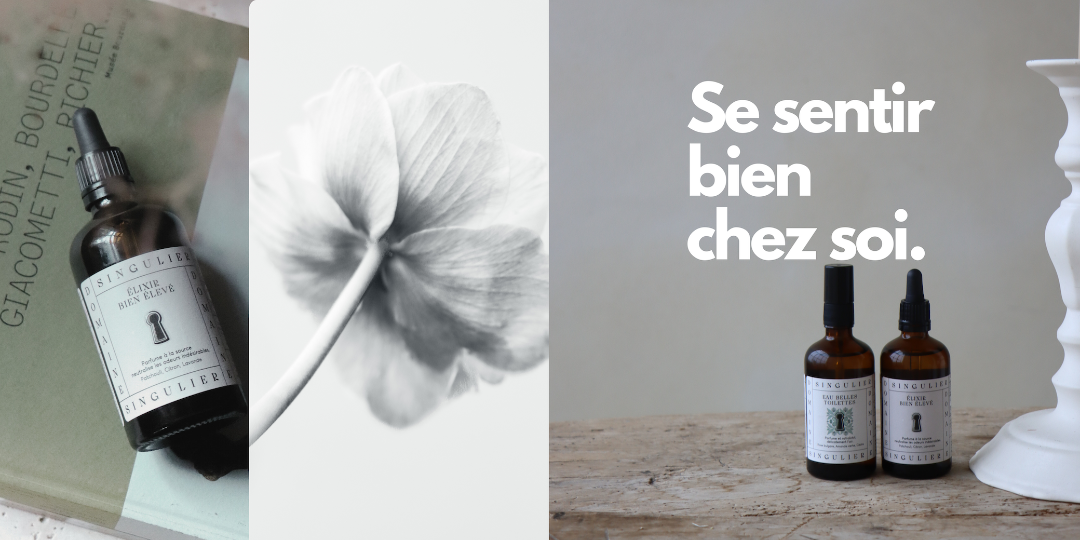 se sentir bien chez soi avec les parfums domaine singulier