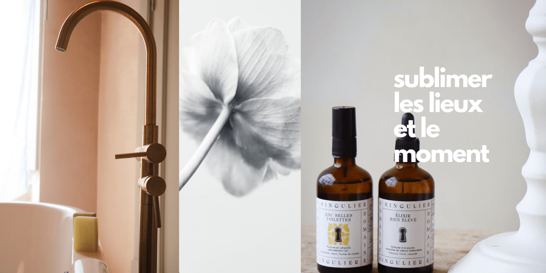 domaine singulier rituels parfumés naturels pour sublimer les lieux et le moment
