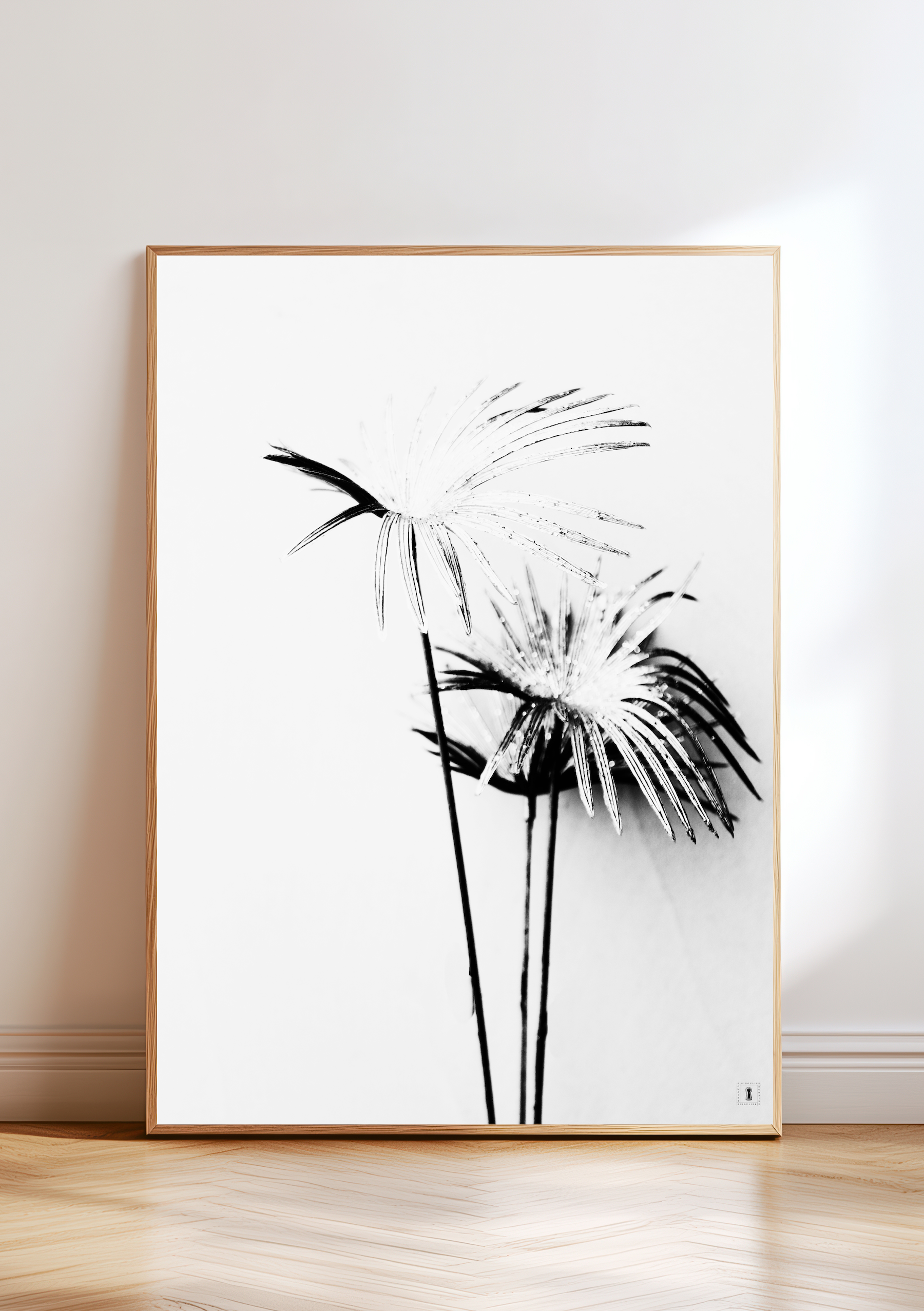 photographie noir et blanc encadrée au sol, sur le thème des palmiers signée emmadaum pour Domaine Singulier