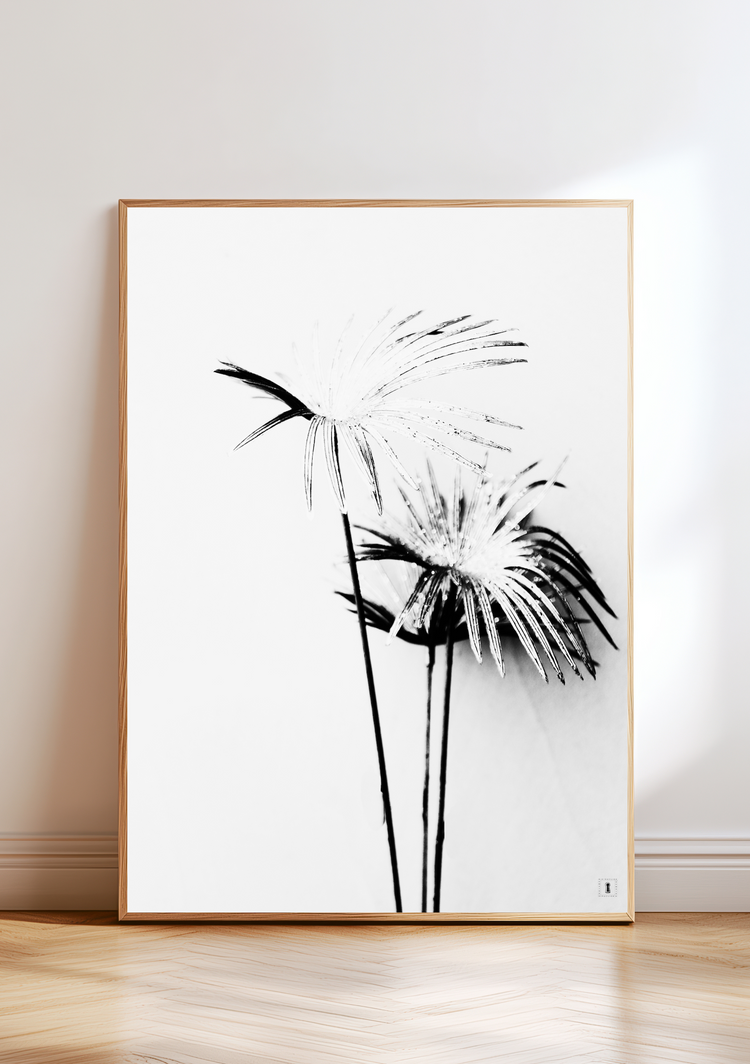 photographie noir et blanc encadrée au sol, sur le thème des palmiers signée emmadaum pour Domaine Singulier